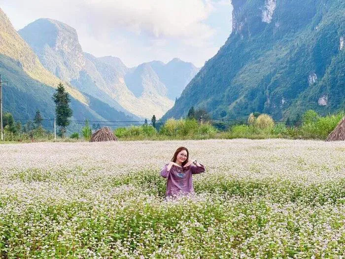 Đắm say mùa hoa tam giác mạch đẹp như tranh ở Hà Giang