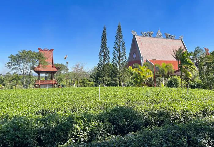 Khám phá 3 thác nước hoang sơ, có khung cảnh 'siêu' đẹp...