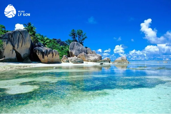 Top 9 những Bãi Biển Đẹp Hoang Sơ ở Việt Nam - Lưu ngay