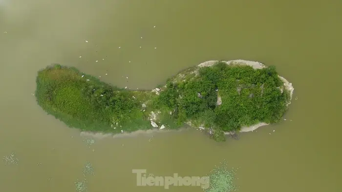 Cảnh hoang sơ, thơ mộng hồ Tuy Lai ngay ngoại thành Hà Nội