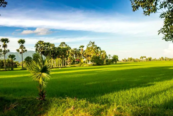 Hình ảnh làng quê Việt Nam - Tuyển tập những khoảnh khắc đẹp nhất về làng  quê Việt Nam, mang đậm nét truyền thống và bình yên.