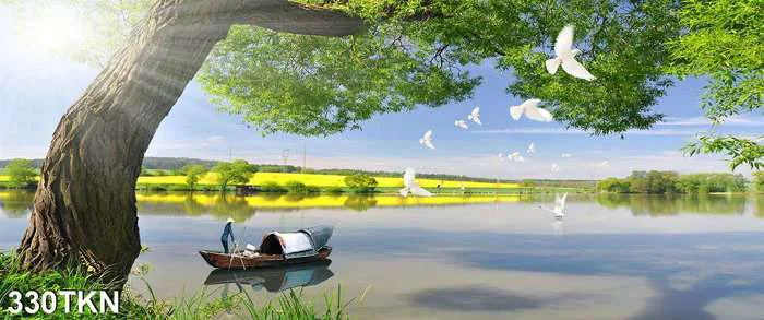 Nét đẹp của tranh phong cảnh làng quê, tranh tĩnh vật