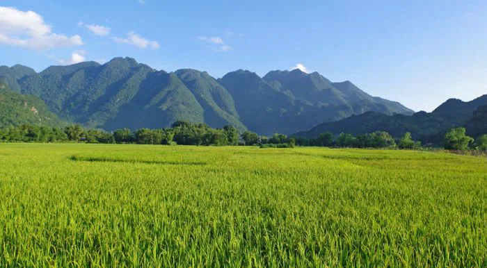 Cẩm nang du lịch Mai Châu, Hòa Bình mới nhất