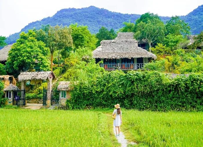 Tour MAI CHÂU Giá Rẻ Review Kinh Nghiệm Du Lịch 2026 - Tour.Pro.Vn