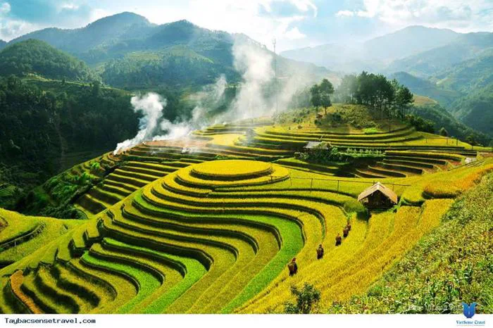 Mai Châu Hòa Bình - Vẻ đẹp bốn mùa tại nơi cửa ngõ Tây Bắc