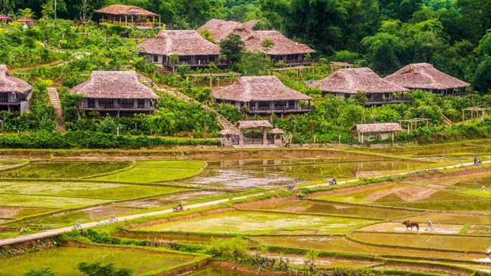 Mai Châu Hòa Bình: Thiên nhiên hùng vĩ giữa núi rừng Tây Bắc | Green SM