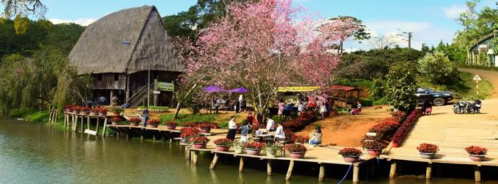 Kinh nghiệm du lịch Măng Đen tự túc chi tiết 2026