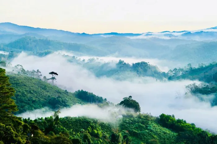Măng Đen - vẻ đẹp riêng nổi bật giữa núi rừng Tây Nguyên