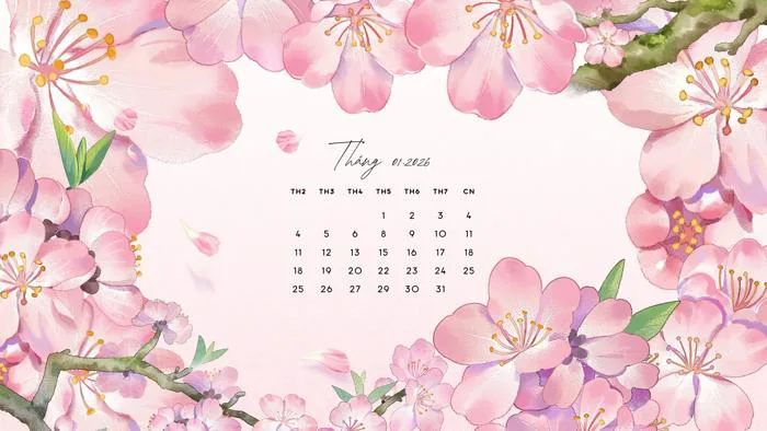 Hình nền hồng cho máy tính, từ pastel dịu đến hồng đậm | Canva