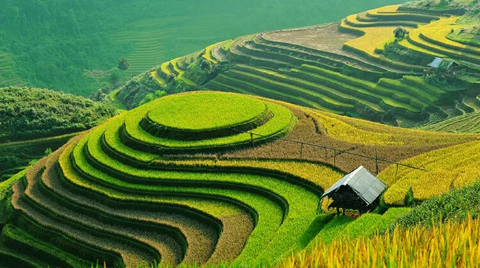 Tổng hợp địa điểm du lịch Miền Bắc ưu chuộng