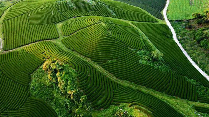 List 24 các địa điểm du lịch Mộc Châu view check in cực đẹp | Phuotvivu