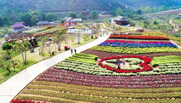 10 địa điểm du lịch Mộc Châu đẹp mê mẩn lòng người