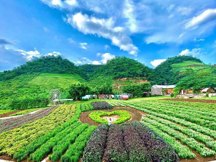 Địa điểm tham quan khi đi du lịch Mộc Châu