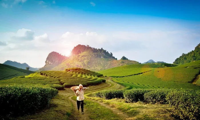 Mộc Châu đẹp như thiên đường khi tháng 10 chạm ngõ