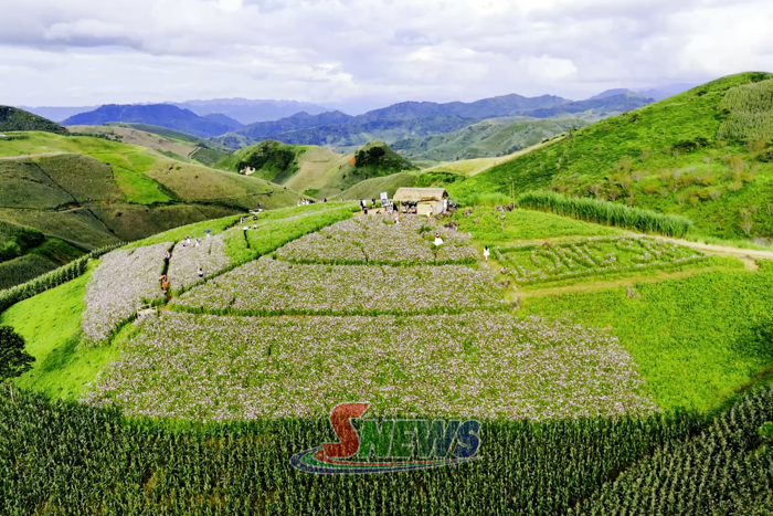 Xứng đáng là điểm đến thiên nhiên khu vực hàng đầu thế giới