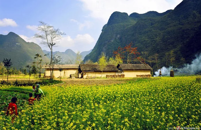 Mộc Châu - mộc mạc mà thu hút đến lạ kỳ | Xe Tuấn Phương