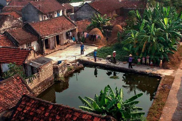 Trọn Bộ] hình ảnh làng quê Việt Nam ngày xưa mộc mạc, yên bình