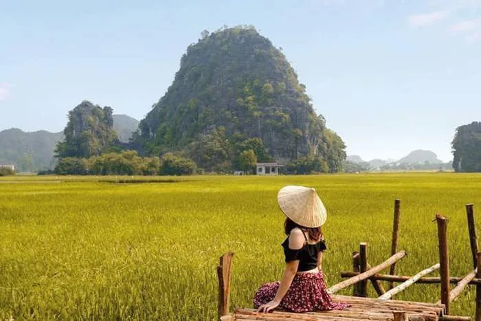 Ninh Bình mùa lúa chín – bức tranh thiên nhiên tươi đẹp nơi Cố đô
