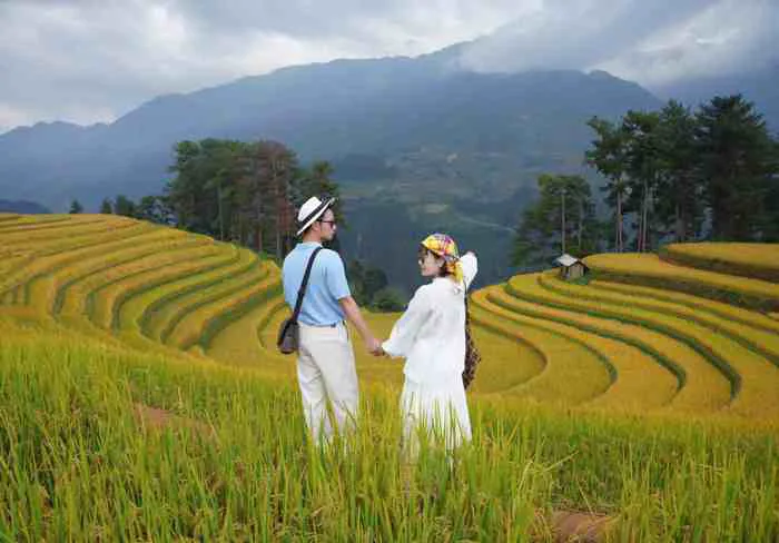 Mùa lúa chín họa bức tranh vàng rực rỡ ở Mù Cang Chải