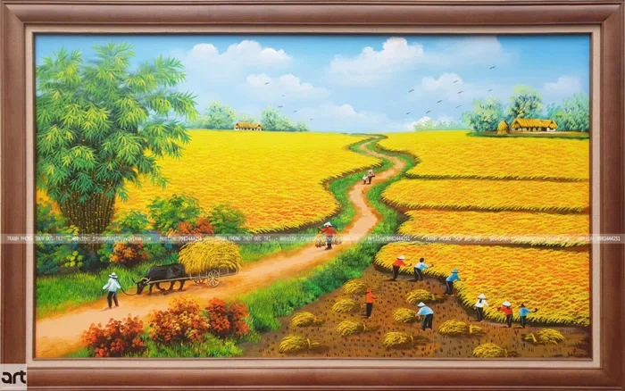 Phong cảnh làng quê cánh đồng lúa chín