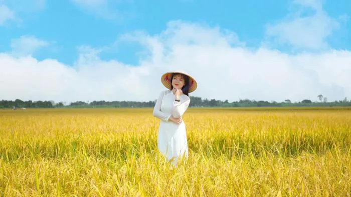 Mùa lúa chín 'đẹp lạ' tại Thái Bình | Znews.vn
