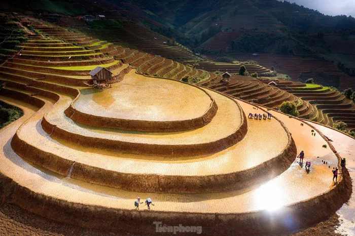 Ngắm nhìn ruộng bậc thang Mù Cang Chải mùa nước đổ Ngắm nhìn ruộng bậc thang Mù Cang Chải mùa nước đổ