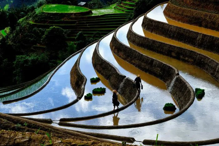 Top 4 điểm đến ngắm mùa nước đổ đẹp nhất miền Bắc Top 4 điểm đến ngắm mùa nước đổ đẹp nhất miền Bắc