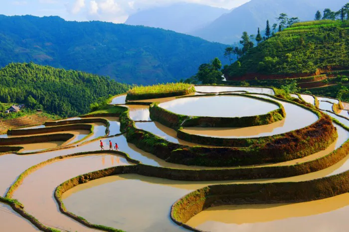 Top 5 địa điểm du lịch miền Bắc mùa nước đổ: Chinh phục vẻ đẹp ngoạn mục của ruộng bậc thang Top 5 địa điểm du lịch miền Bắc mùa nước đổ: Chinh phục vẻ đẹp ngoạn mục của ruộng bậc thang
