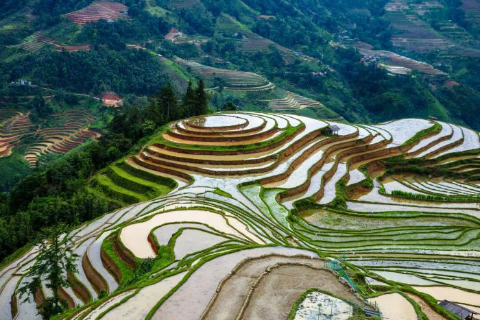 Hà Giang mùa nước đổ - Bức tranh hùng vĩ, thơ mộng Hà Giang mùa nước đổ - Bức tranh hùng vĩ, thơ mộng