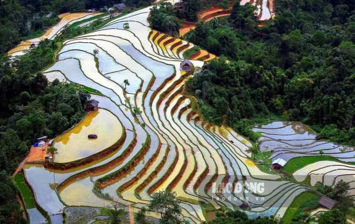 Hùng vĩ mùa nước đổ trên những thửa ruộng bậc thang Hùng vĩ mùa nước đổ trên những thửa ruộng bậc thang