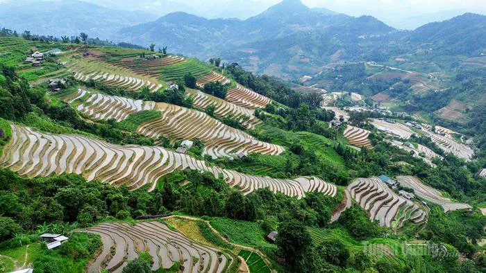 Mùa nước đổ trên danh thắng ruộng bậc thang Hoàng Su Phì - Báo Tuyên Quang điện tử Mùa nước đổ trên danh thắng ruộng bậc thang Hoàng Su Phì - Báo Tuyên Quang điện tử
