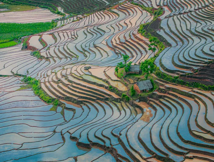 Top 5 địa điểm du lịch miền Bắc mùa nước đổ: Chinh phục vẻ đẹp ngoạn mục của ruộng bậc thang Top 5 địa điểm du lịch miền Bắc mùa nước đổ: Chinh phục vẻ đẹp ngoạn mục của ruộng bậc thang