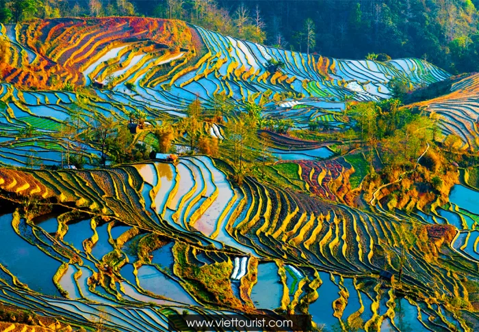 RỦ NHAU ĐI NGẮM MÙA NƯỚC ĐỔ TÂY BẮC RỦ NHAU ĐI NGẮM MÙA NƯỚC ĐỔ TÂY BẮC