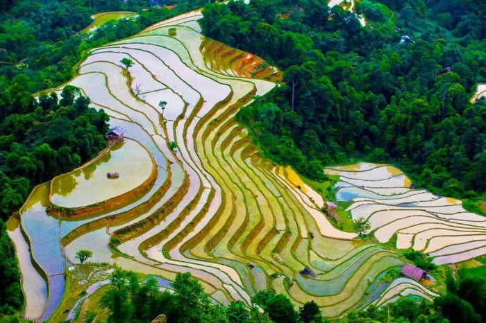 Du lịch Tây Bắc mùa nước đổ trên ruộng bậc thang như tráng gương Du lịch Tây Bắc mùa nước đổ trên ruộng bậc thang như tráng gương