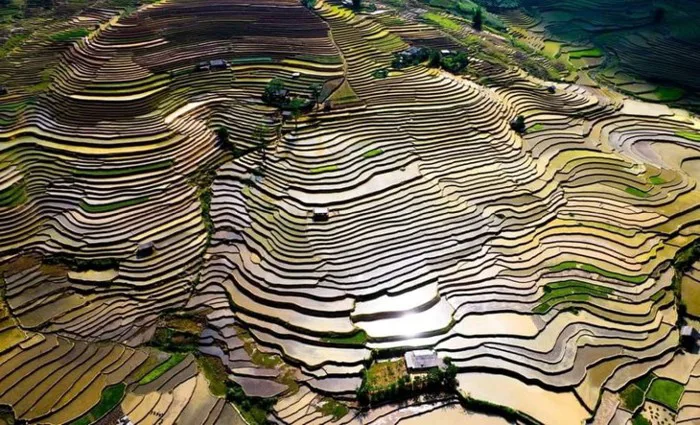 Vẻ đẹp ruộng bậc thang mùa nước đổ Vẻ đẹp ruộng bậc thang mùa nước đổ