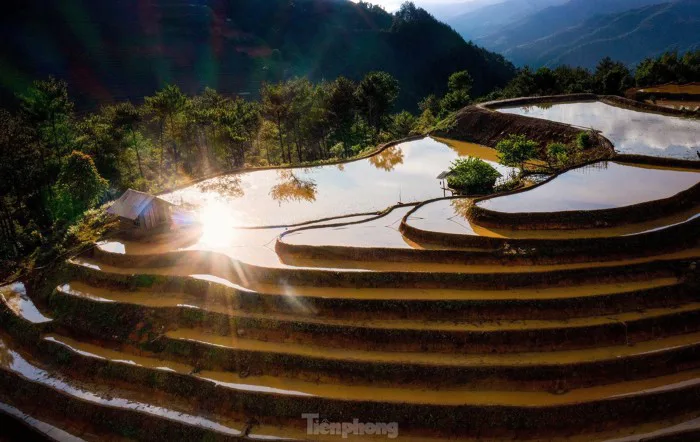 Ngắm nhìn ruộng bậc thang Mù Cang Chải mùa nước đổ Ngắm nhìn ruộng bậc thang Mù Cang Chải mùa nước đổ