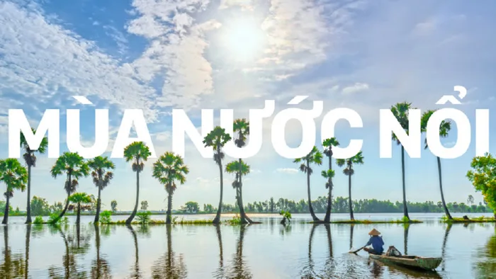 Du lịch miền Tây mùa nước nổi: Đặc sản, cảnh đẹp & trải nghiệm không thể bỏ  lỡ