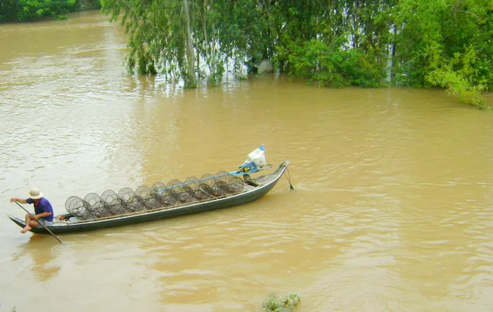 ẢNH] Miền Tây mùa nước nổi, bức tranh làm xao xuyến lòng người