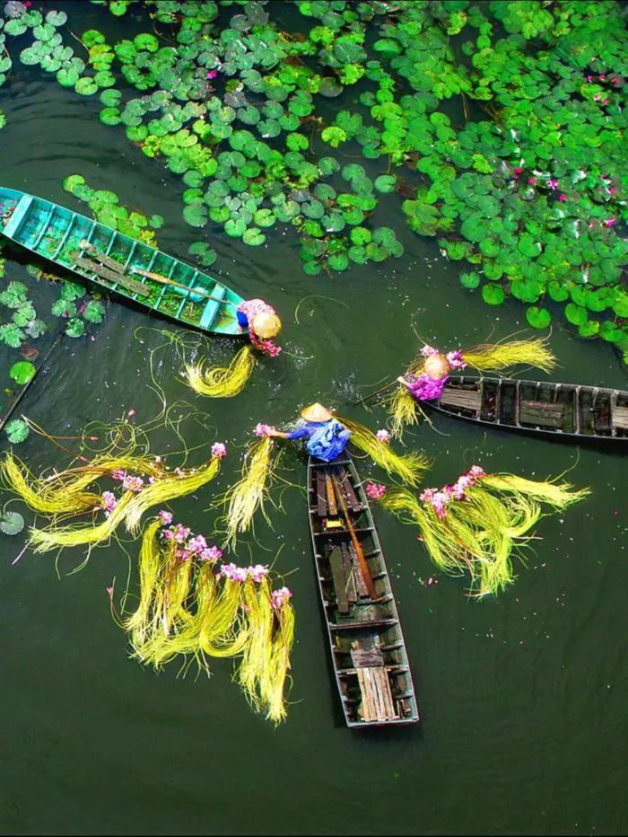 Đã nghe thu gọi mùa nước nổi miền Tây