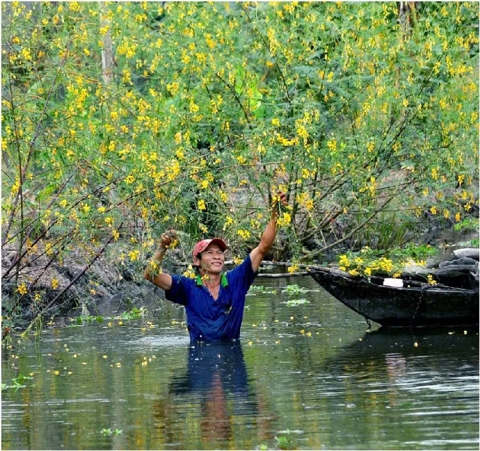 Miền Tây mùa nước nổi