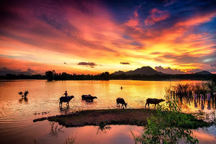 Vẻ đẹp mùa nước nổi đầu nguồn