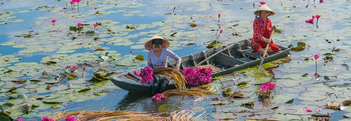 Vẻ đẹp mùa nước nổi An Giang khiến bất cứ ai cũng phải say lòng