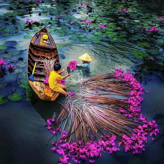 TOUR AN GIANG MÙA NƯỚC NỔI 2N1Đ – Du lịch Sea Travel
