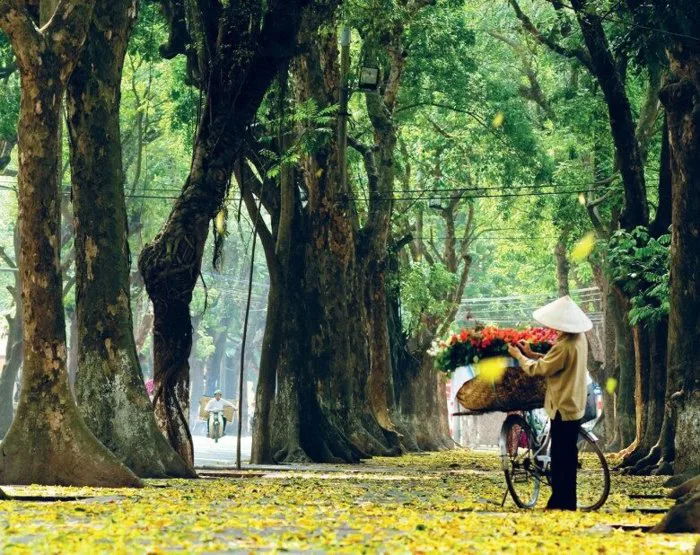 Ghim ngay 5 mẹo chụp ảnh phong cảnh mùa thu siêu lãng mạn, đẹp như hình bìa  tạp chí
