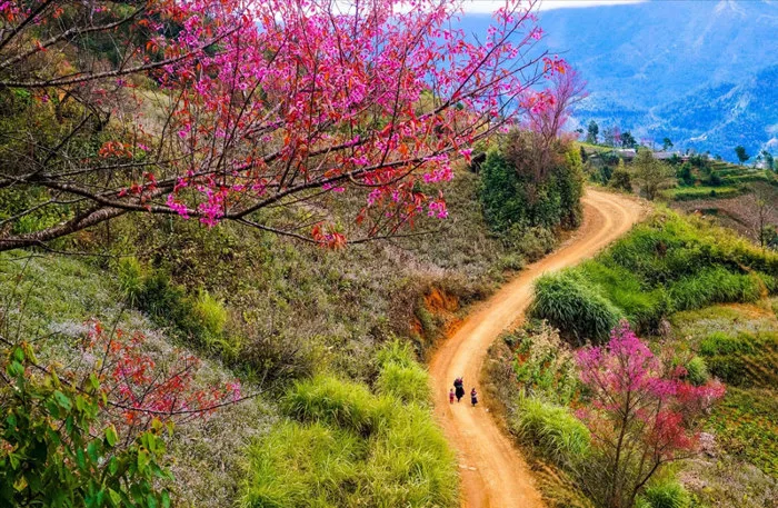 Cảnh đẹp Sa Pa mùa xuân & Gợi ý 6 điểm chiêm ngưỡng