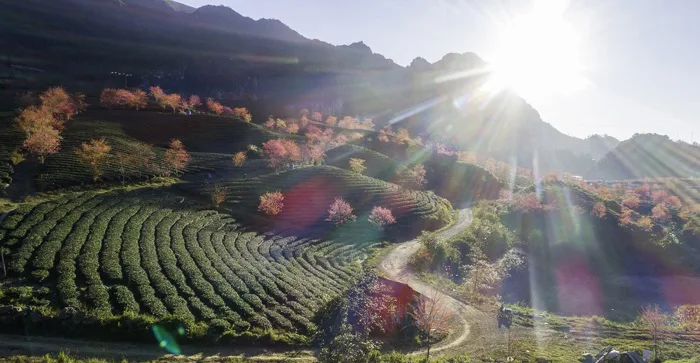 Du lịch Tây Bắc mùa xuân và những trải nghiệm không thể bỏ lỡ - Saco Travel