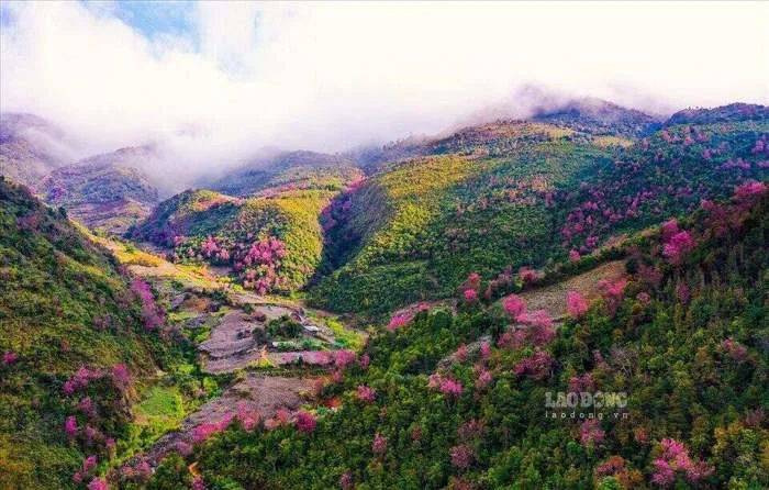 5 điểm du xuân đẹp như tranh vẽ ở miền núi phía Bắc