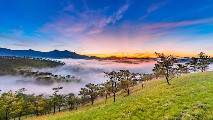 Panorama là gì? Hướng Dẫn Cách Chụp Panorama Siêu Đẹp - BH Asia