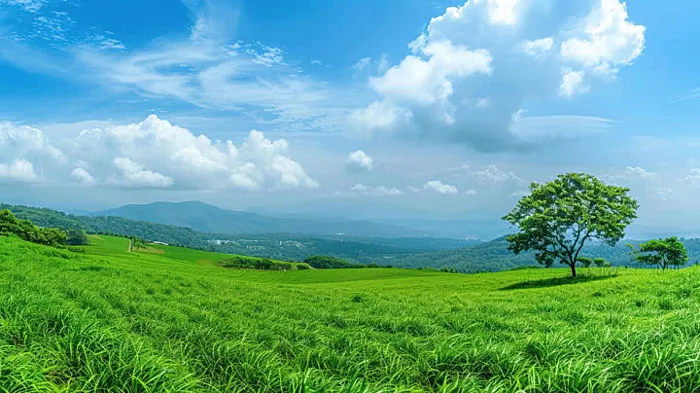 Hình ảnh Nền Panorama, Panorama Vector Nền Và Tập Tin Tải về Miễn Phí |  Pngtree