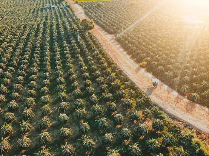 16 Cảnh đẹp Phan Thiết được nhiều du khách lựa chọn tham quan